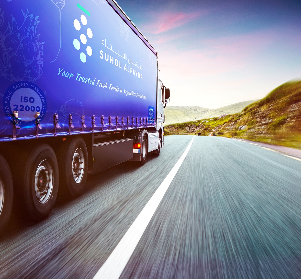 logistics truck fleet and delivery vehicles, reliable export shipping, professional transportation services